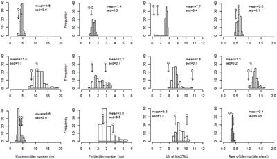 Environmental and Genetic Variation for Yield-Related Traits of Durum Wheat as Affected by Development